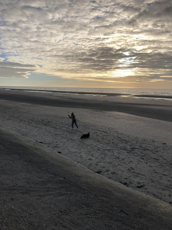 Westhoek Apartments De Panne Eksteriør billede